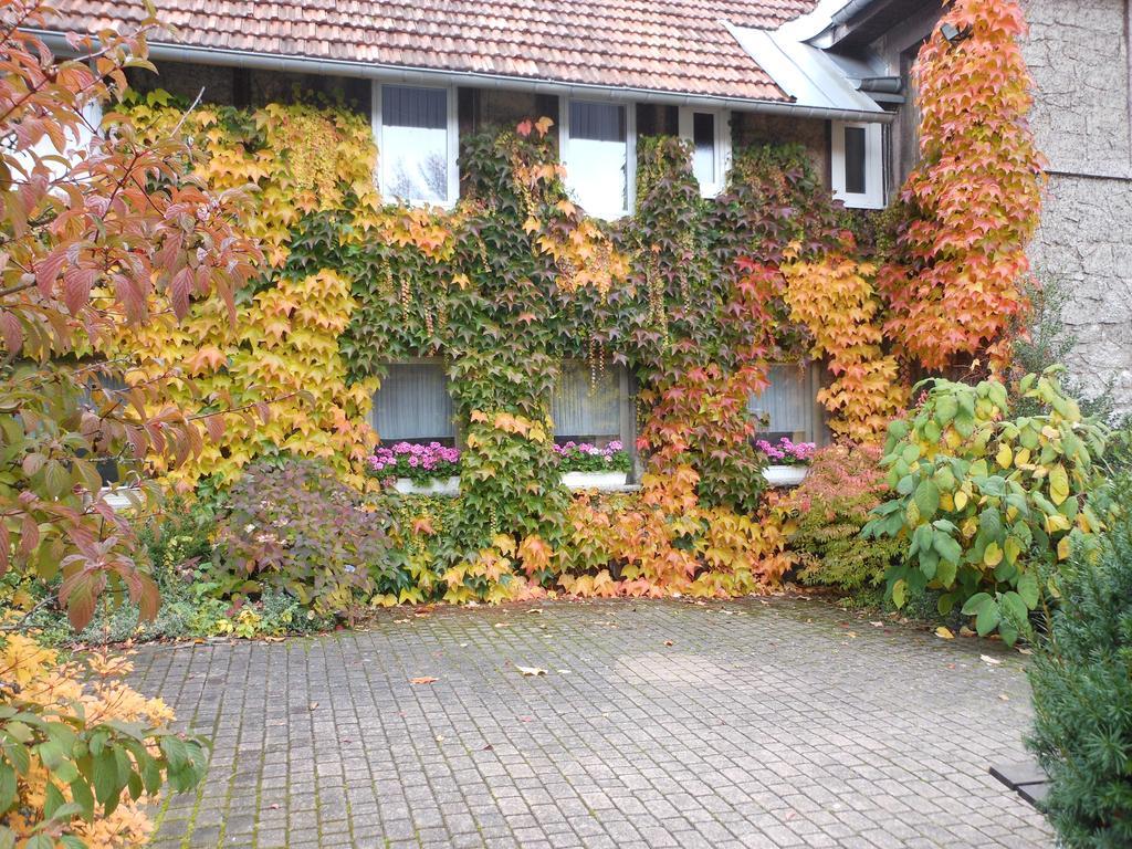 Westfalenhof Garni Willingen  Exterior photo