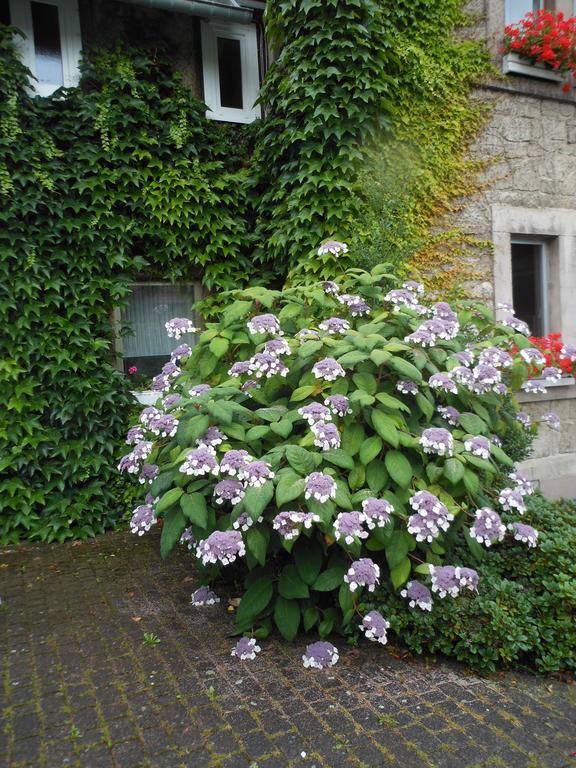 Westfalenhof Garni Willingen  Exterior photo